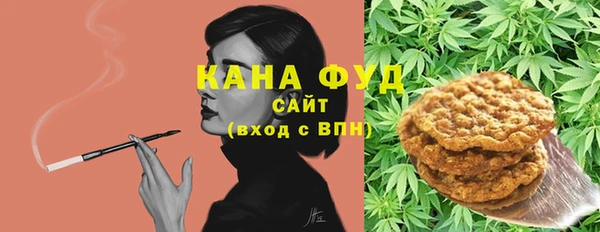 крисы Надым