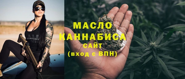 крисы Надым