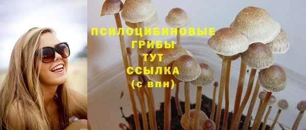 стаф Навашино