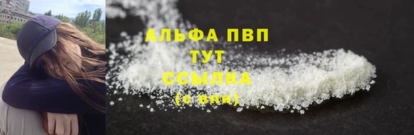 крисы Надым