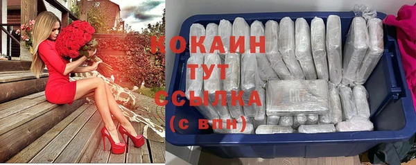 крисы Надым