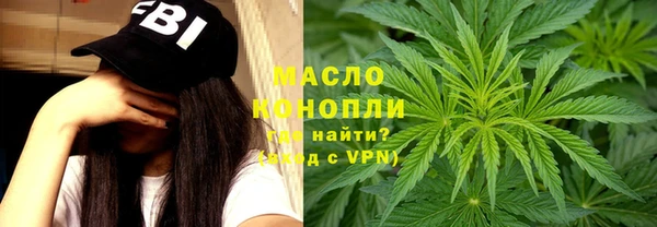 крисы Надым