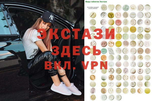 крисы Надым